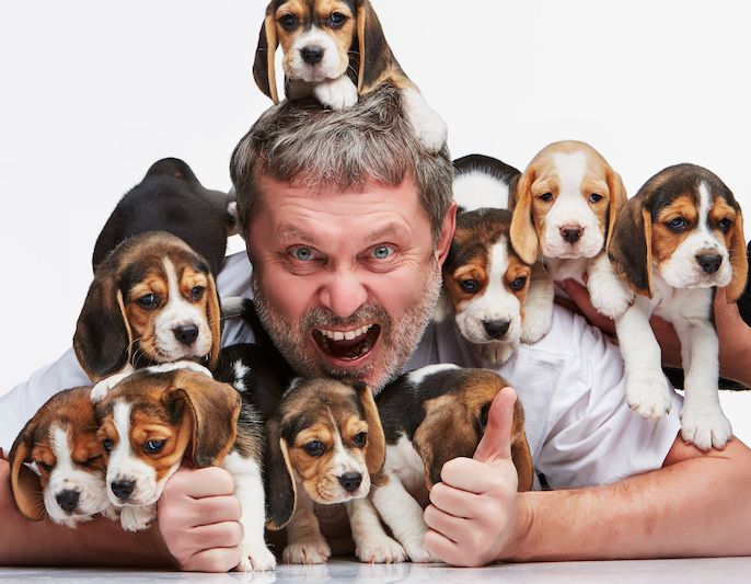 Breeding in the Age of COVID-19